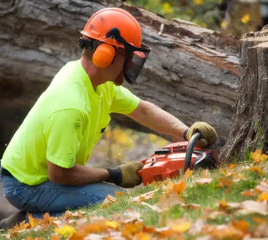 tree services Yorketown